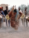 Bush pig mask performing in village of Tierko